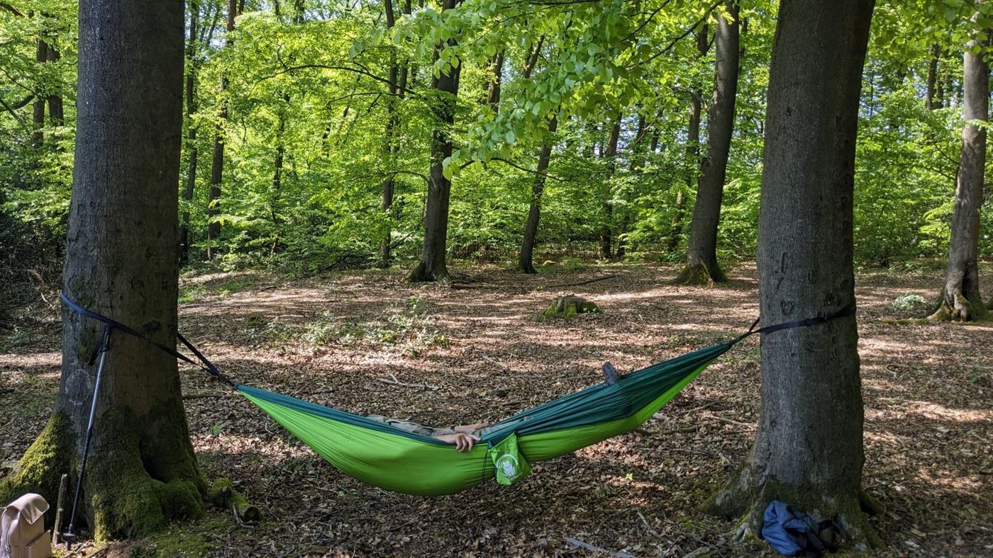 Grüne Hängematte zwischen zwei Bäumen im Wald